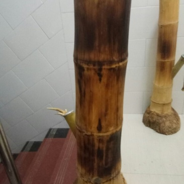 云南水烟筒竹根烟筒