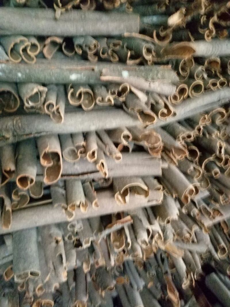 桂皮，桶货