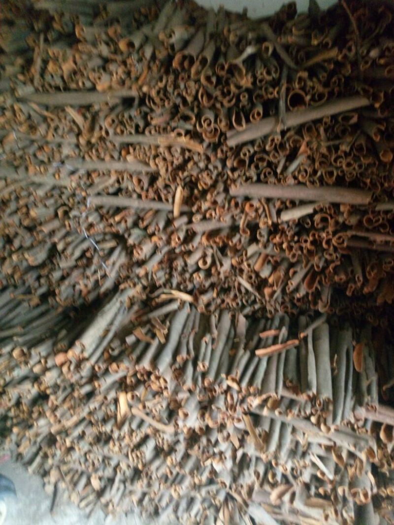 桂皮，桶货