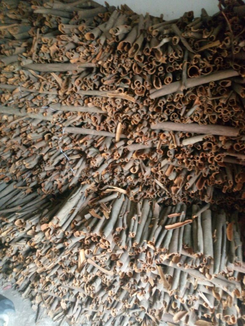 桂皮，桶货
