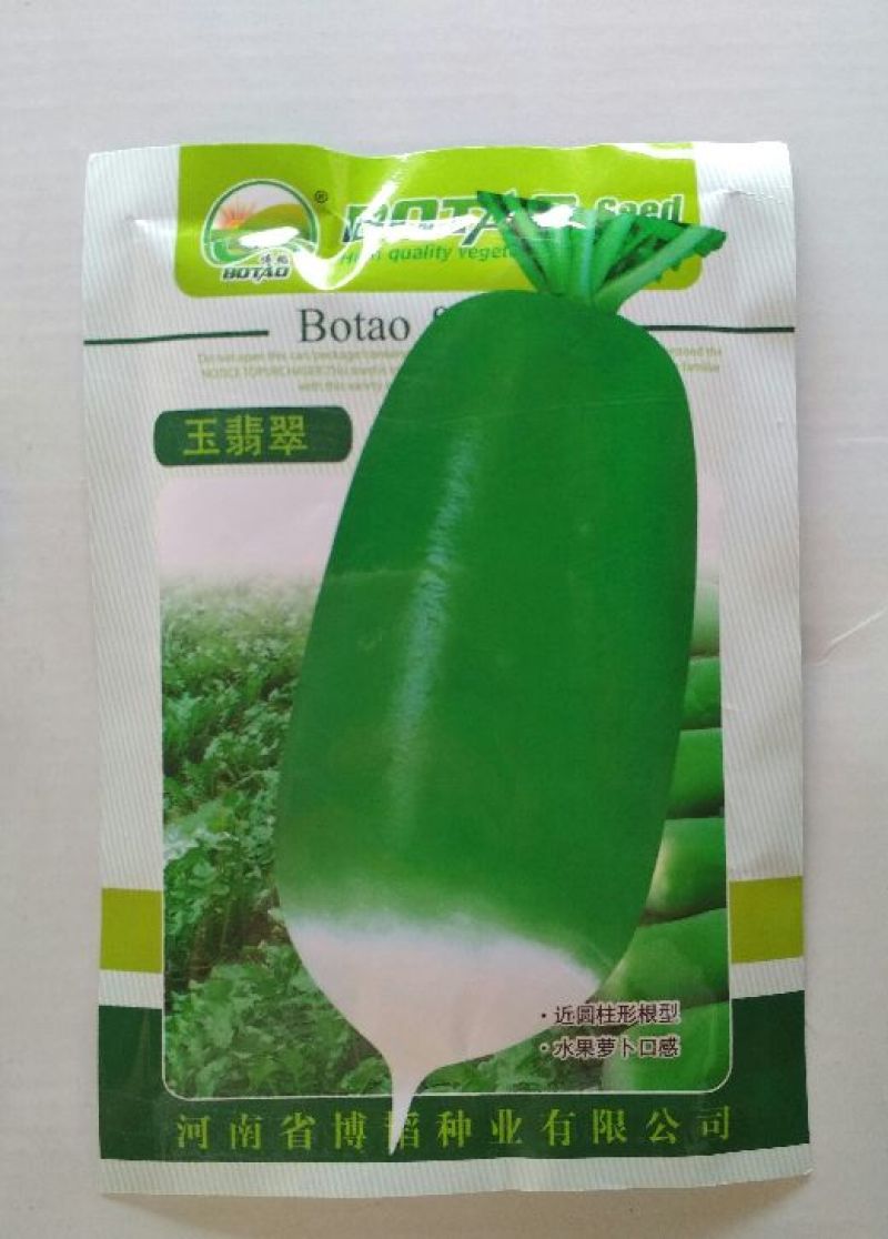 玉翡翠白萝卜种子水果萝卜口感