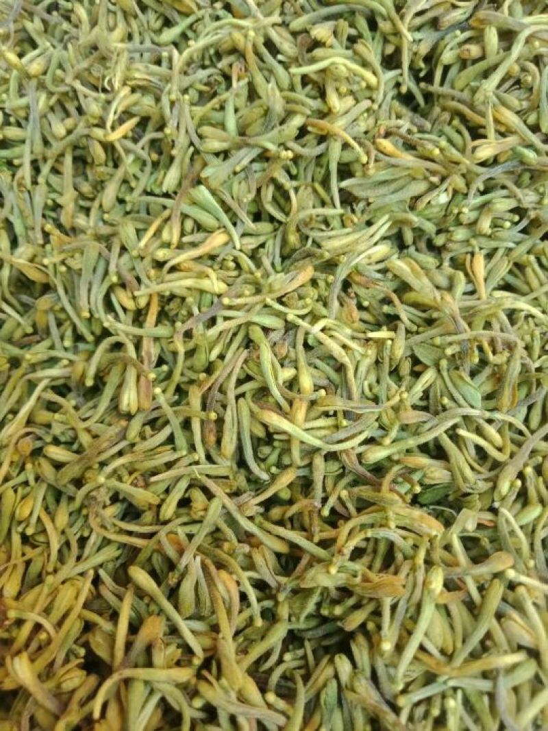 上好金银花