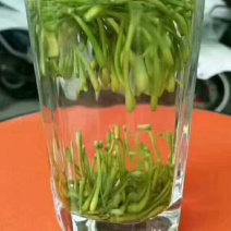 湘雷金银花茶