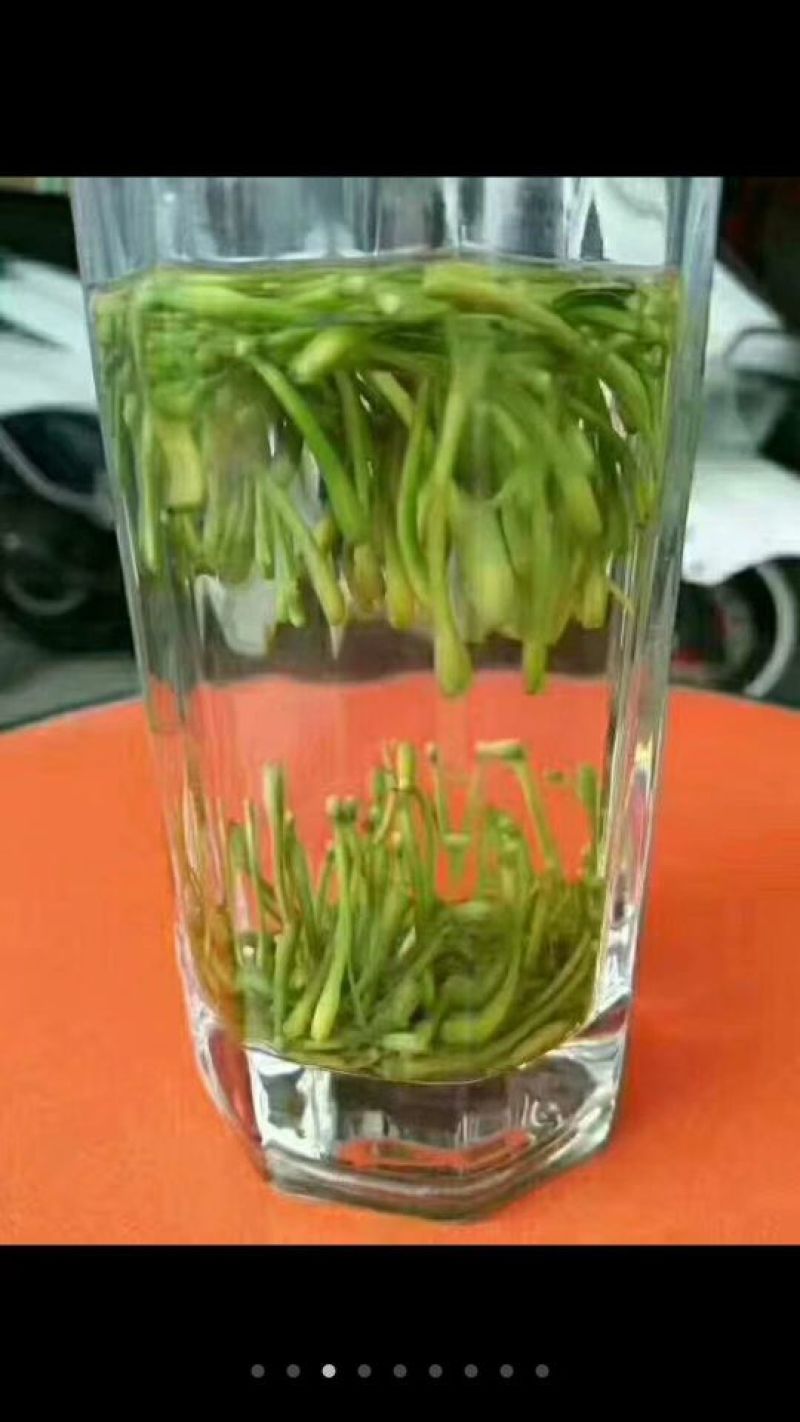 湘雷金银花茶