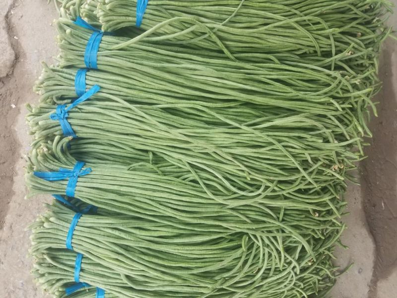 长豆角