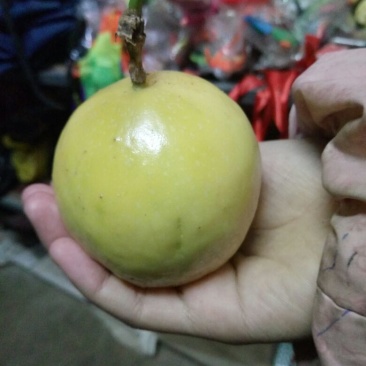 黄金百香果