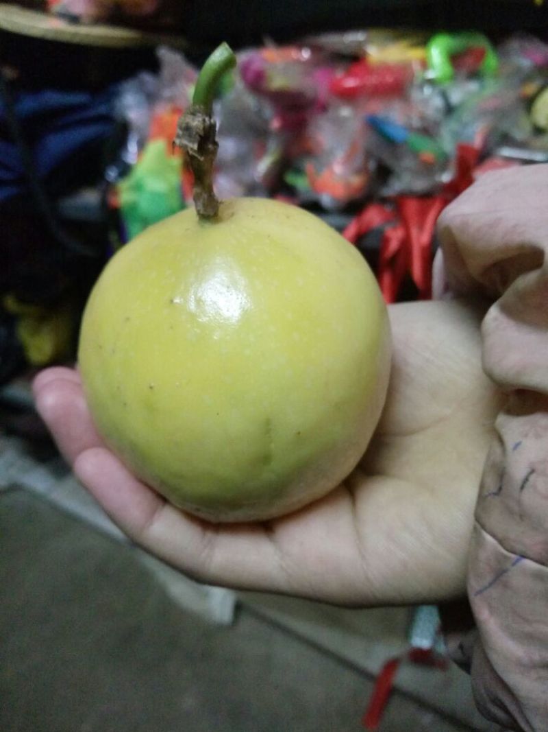黄金百香果