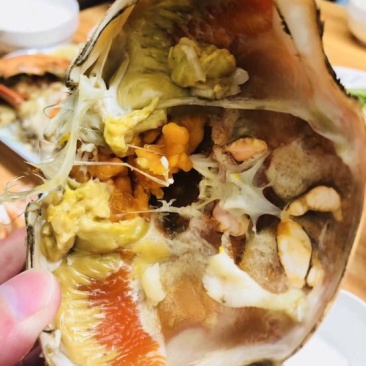 红蟹食用雌蟹