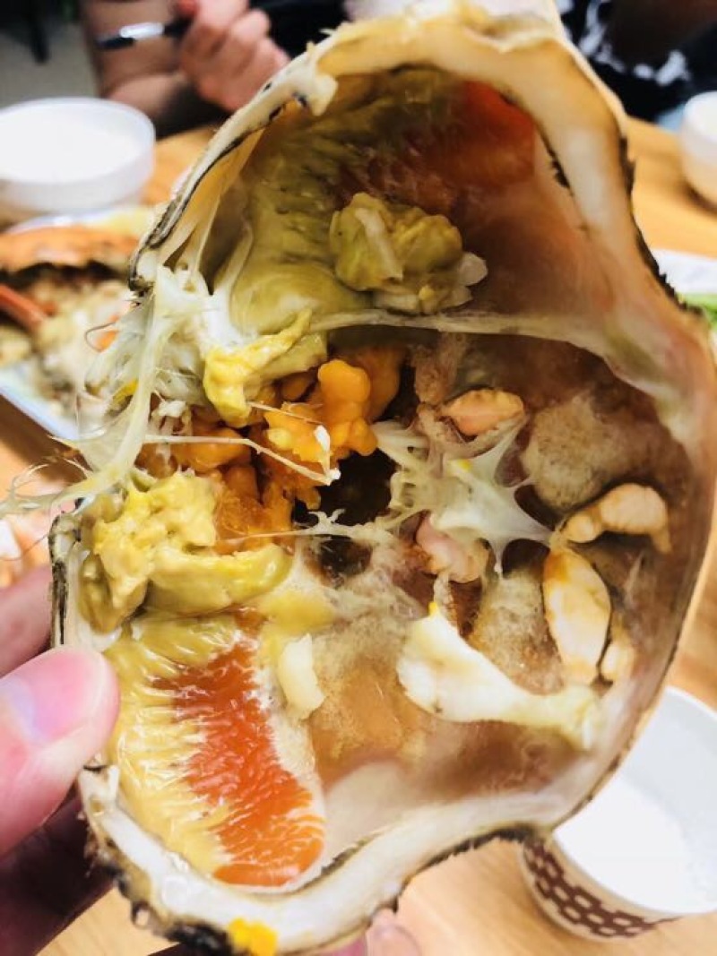 红蟹食用雌蟹