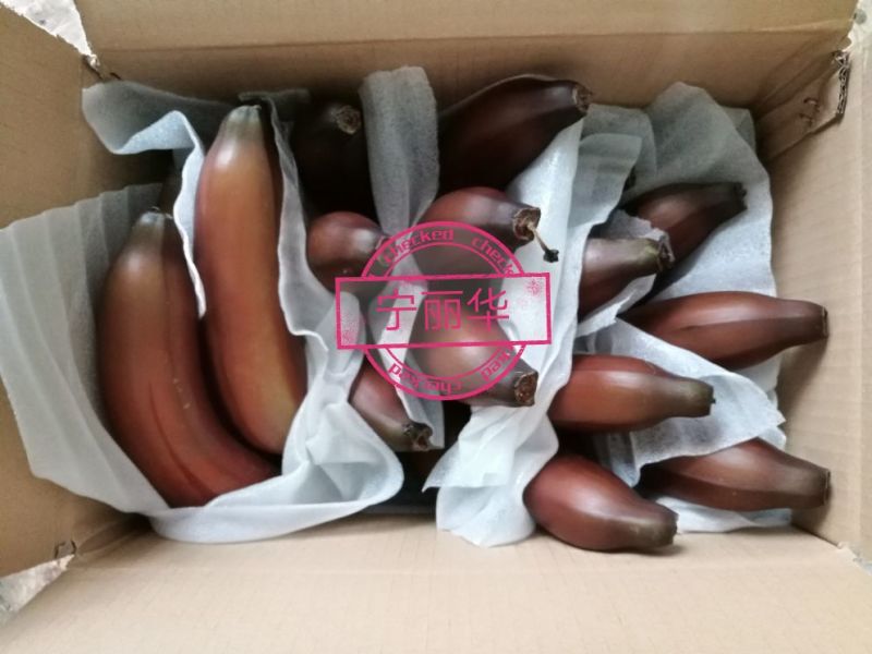 聚便宜】8斤一级净果红香蕉产地直发（现砍现装）