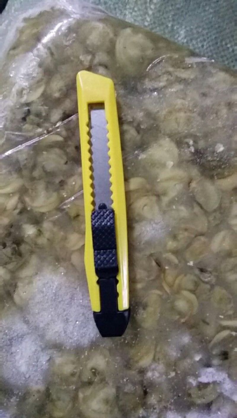 河蚬子肉