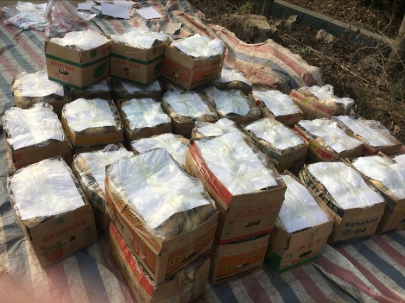 荷兰十五土豆实时真实报价，大量土豆地蛋鲜货上市
