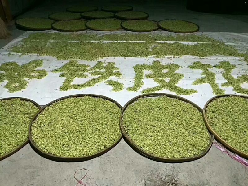 铁皮石斛花云南干货1斤起包邮量大优惠