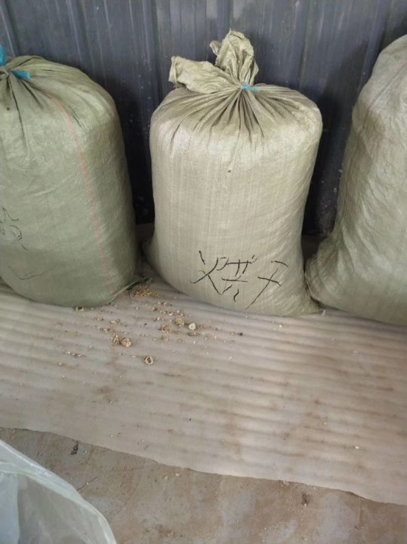 苦瓜干绿色苦瓜茶