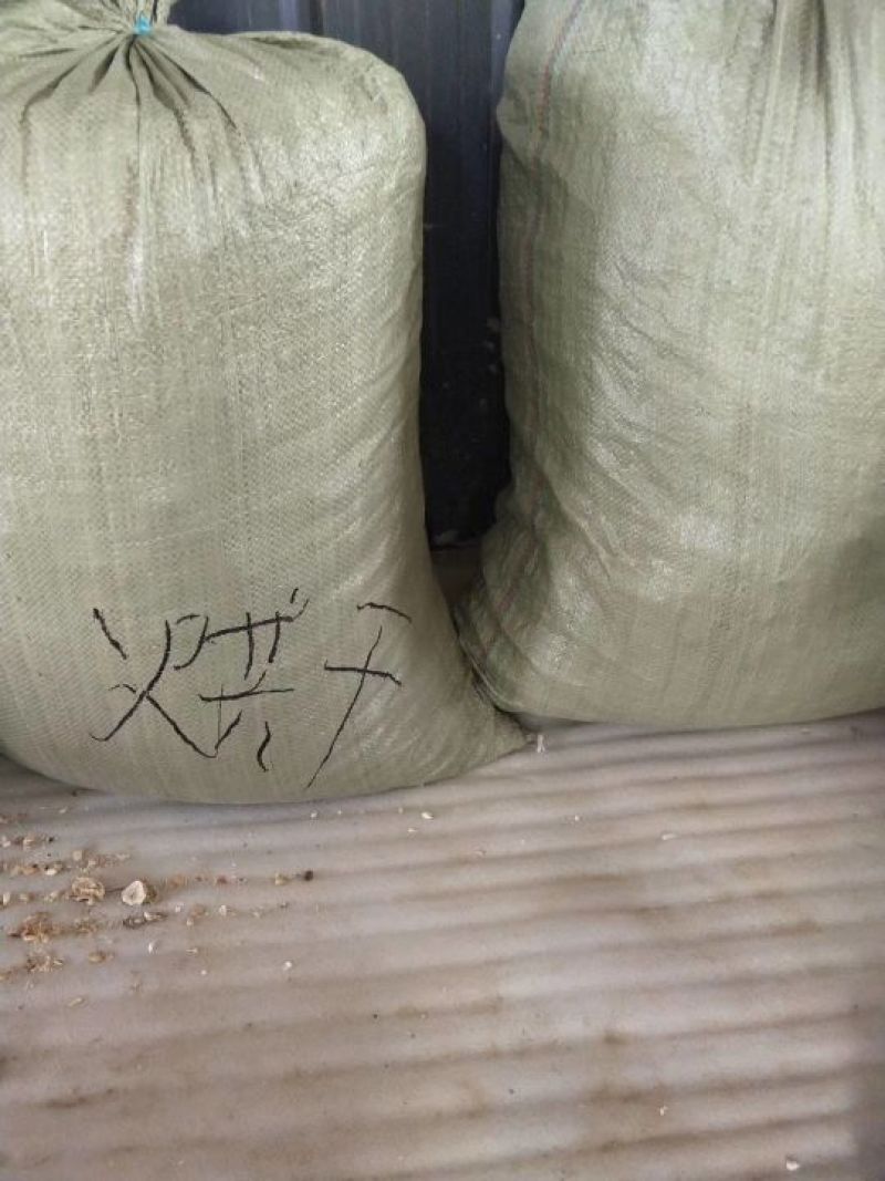 苦瓜干绿色苦瓜茶