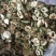 苦瓜干绿色苦瓜茶