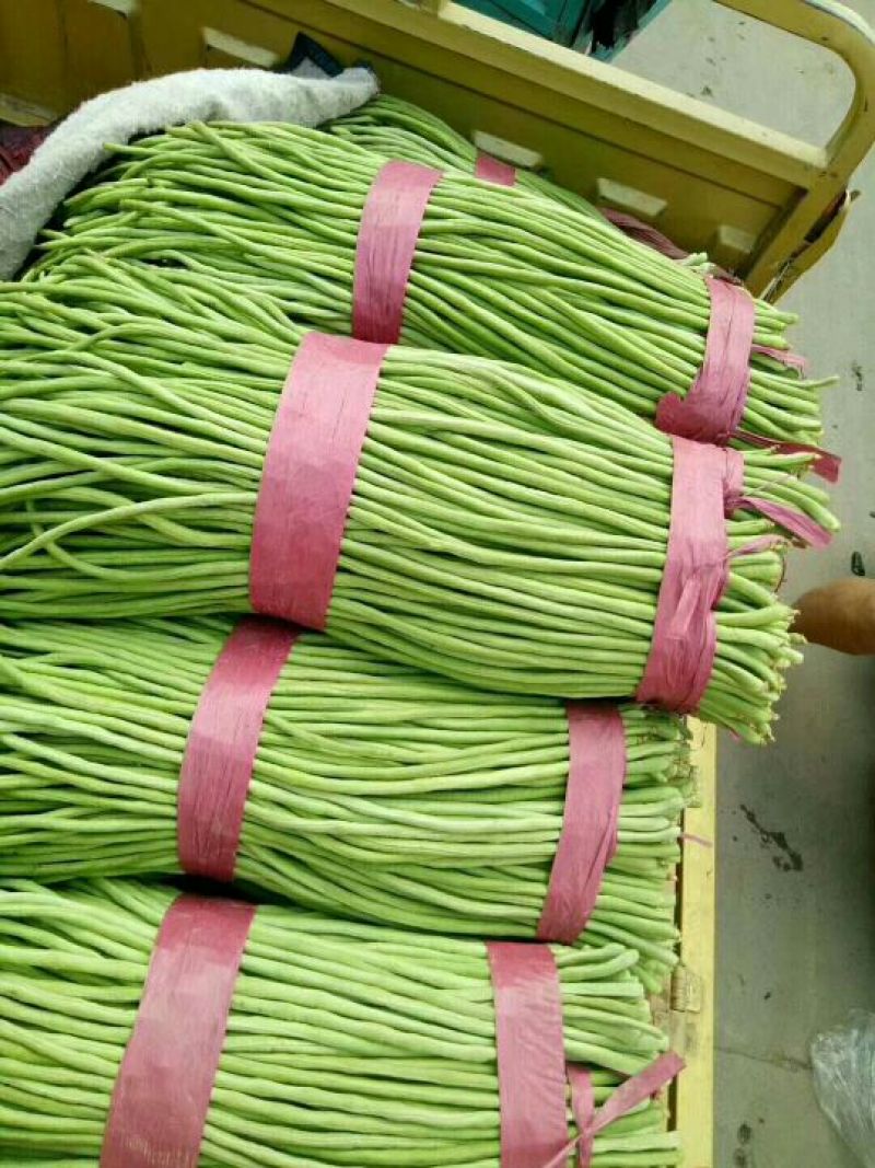 精品长豆角，现摘现发，基地直供，货源充足，价格美丽，视频看货