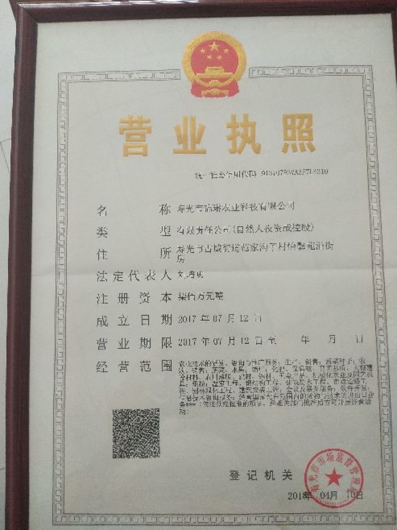西兰花种子