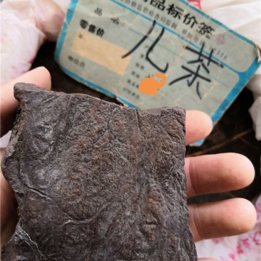 儿茶
