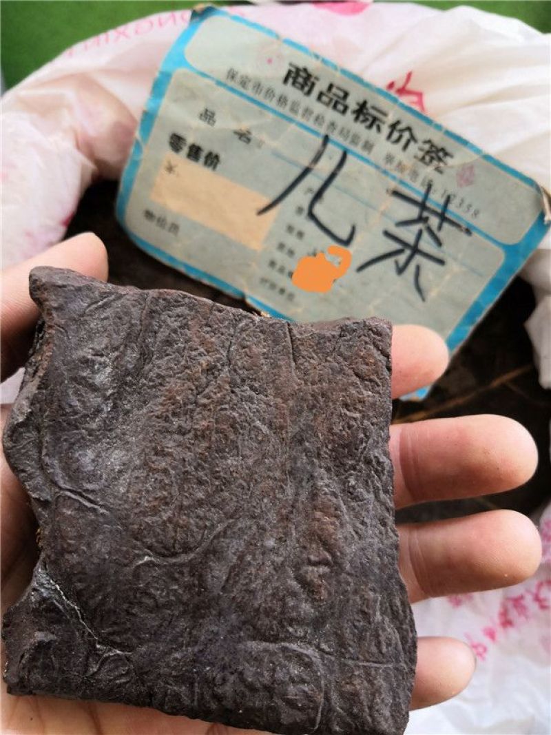 儿茶