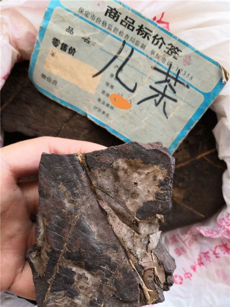 儿茶