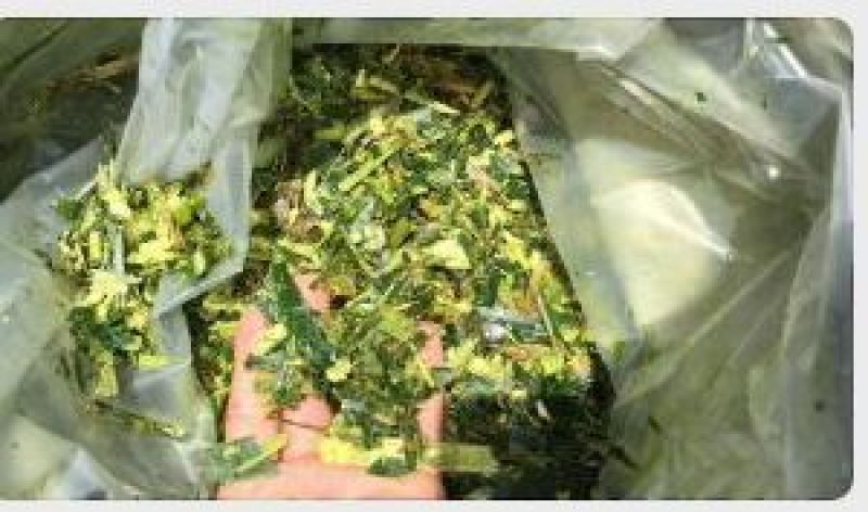 欢迎老板来订购