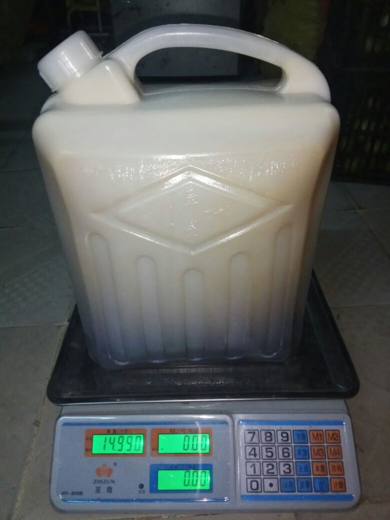 土蜂蜜