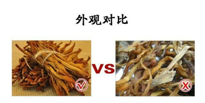 黄花菜