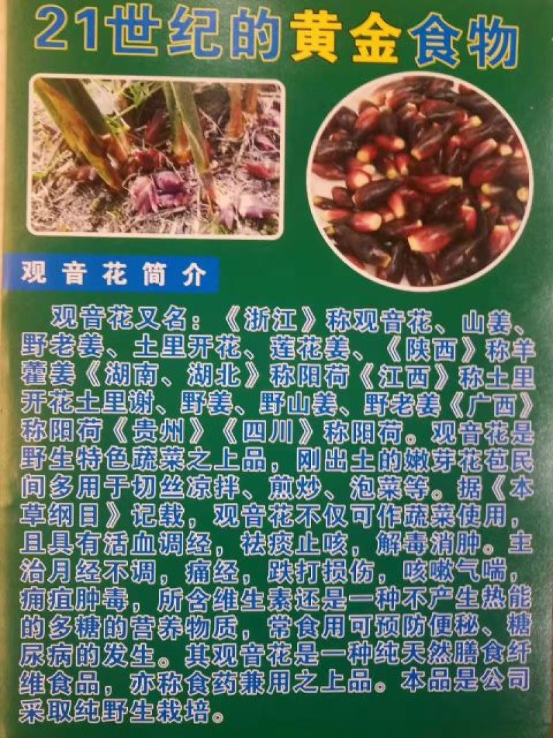 洋河姜