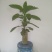 竹子工艺品