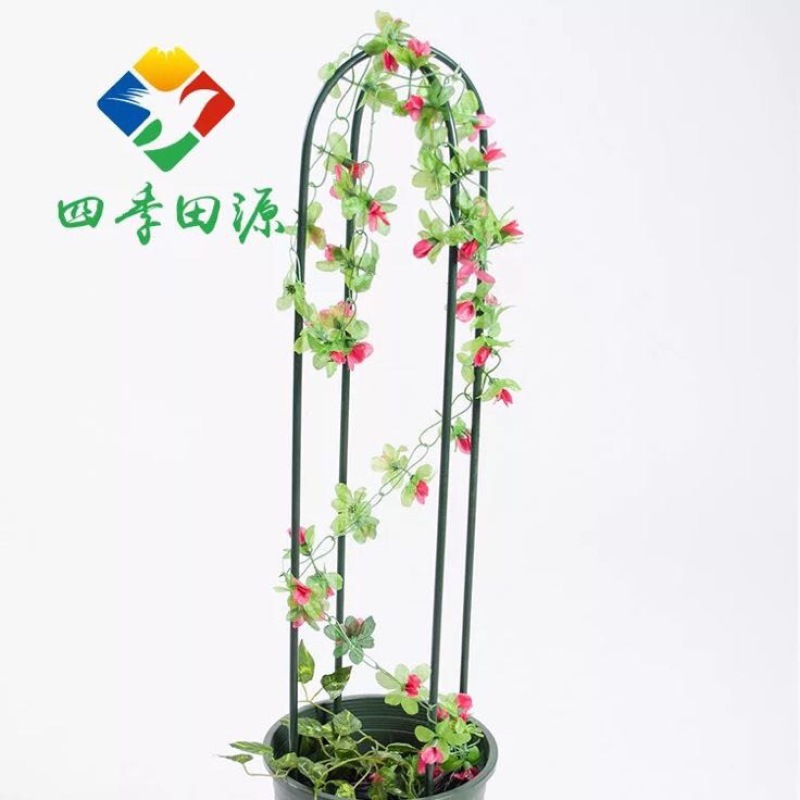 花架子铁