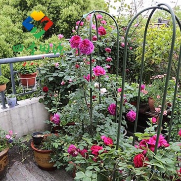 花架子铁