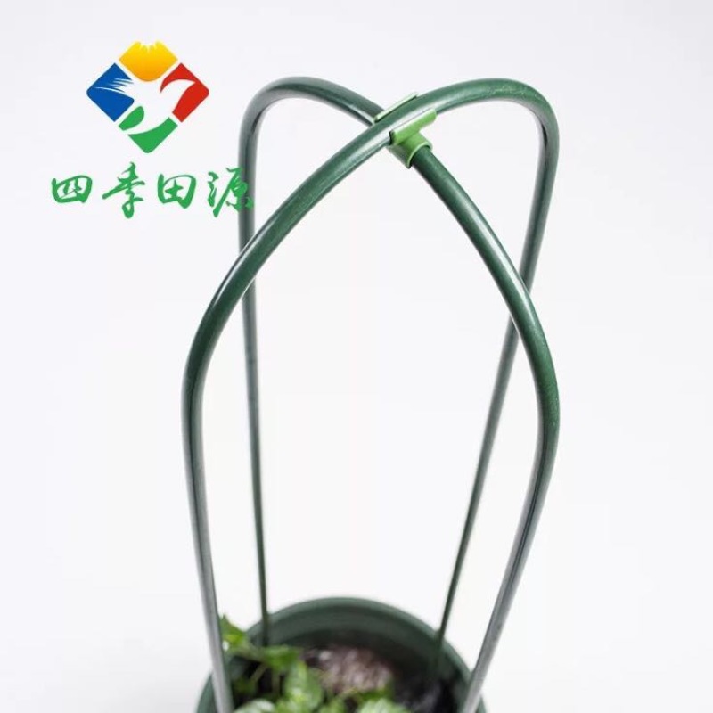 花架子铁