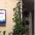 花架子铁