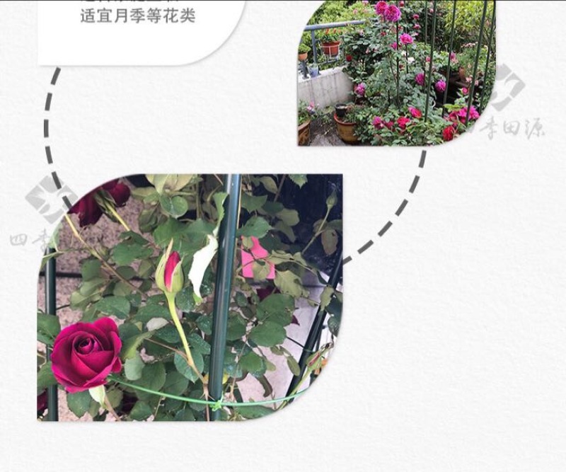 花架子铁