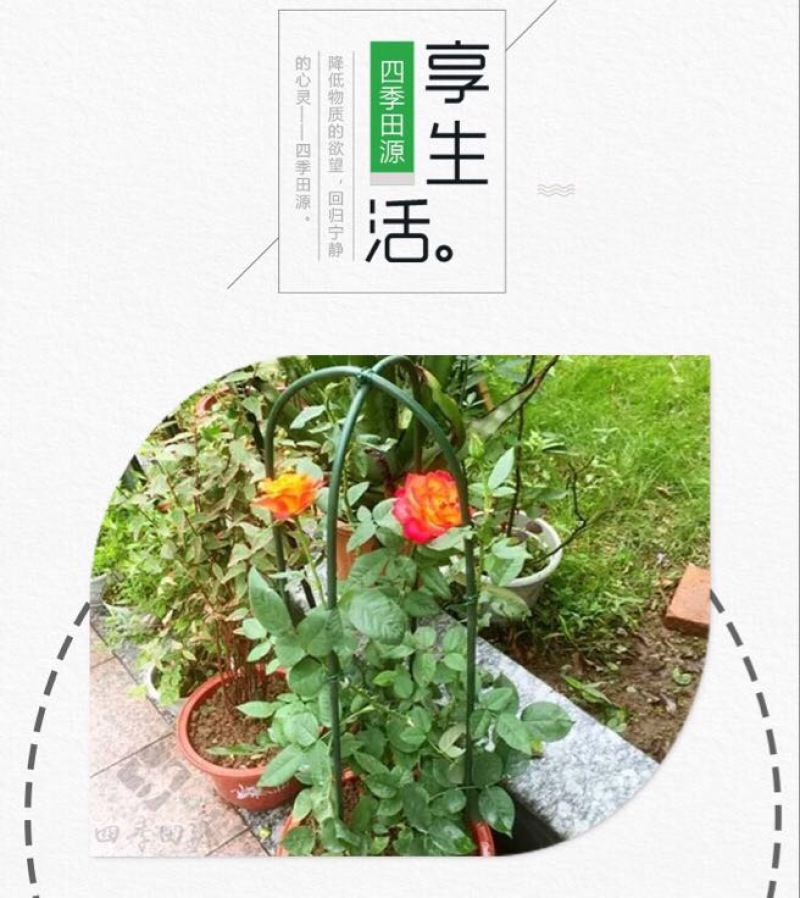 花架子铁