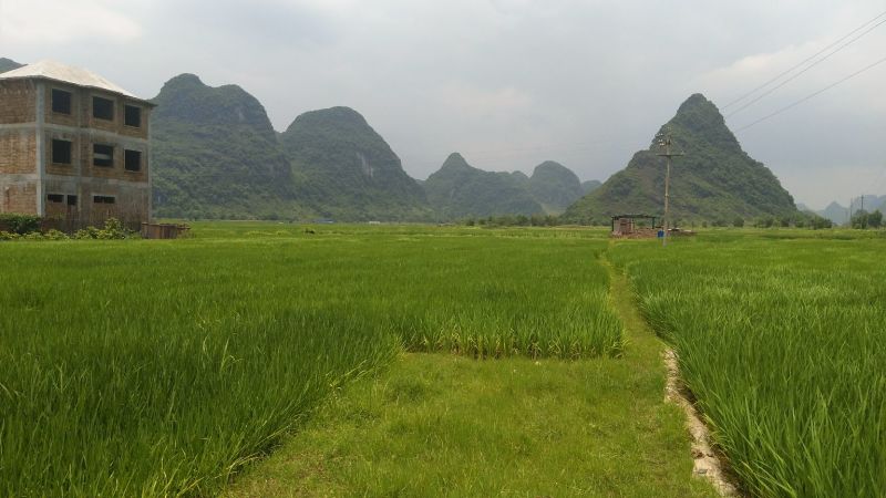 梯田，农田