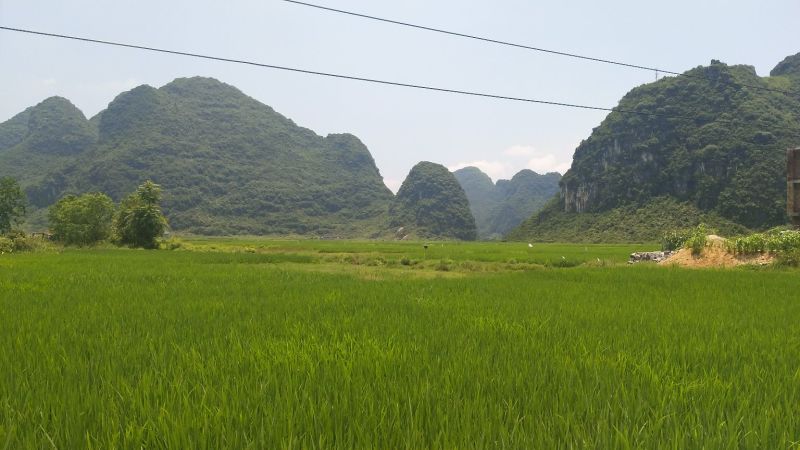 梯田，农田