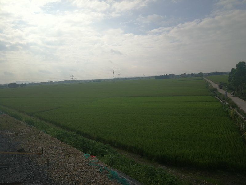梯田，农田