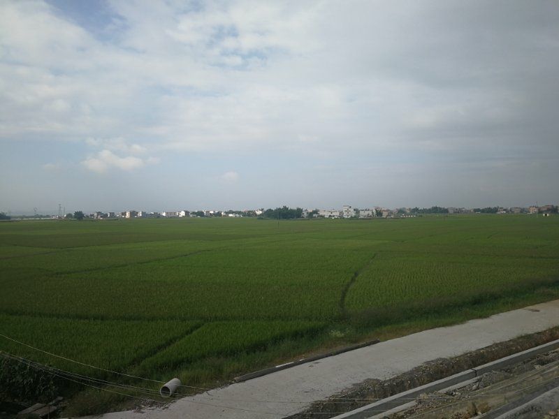 梯田，农田