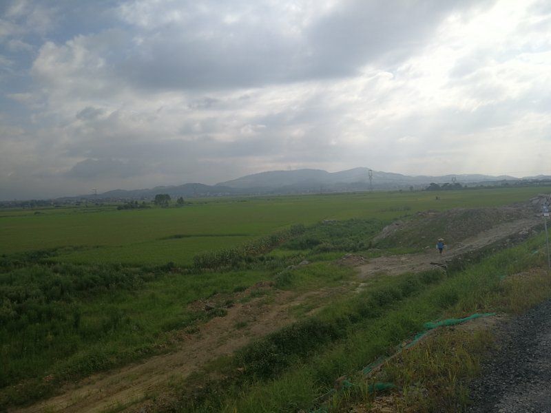 梯田，农田