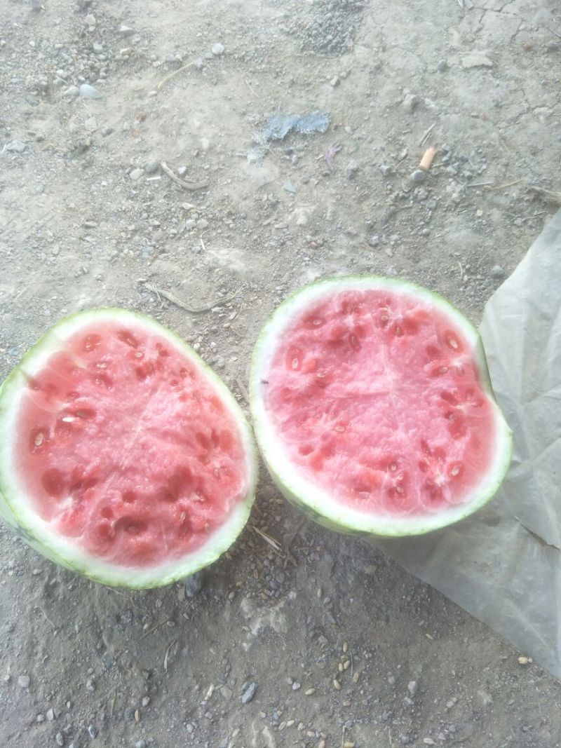 8424西瓜🍉，瓜皮薄，口感好，皮毛亮