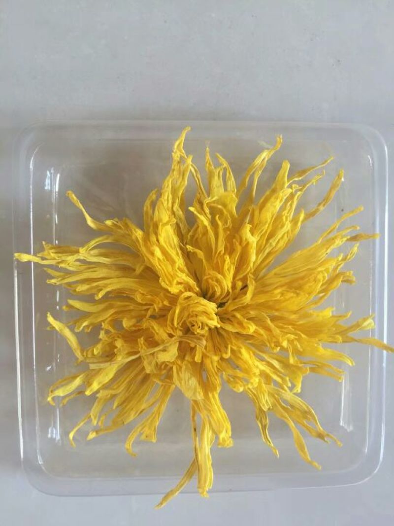 干燥机械空气能热泵烘干机菊花专用热泵烘干机