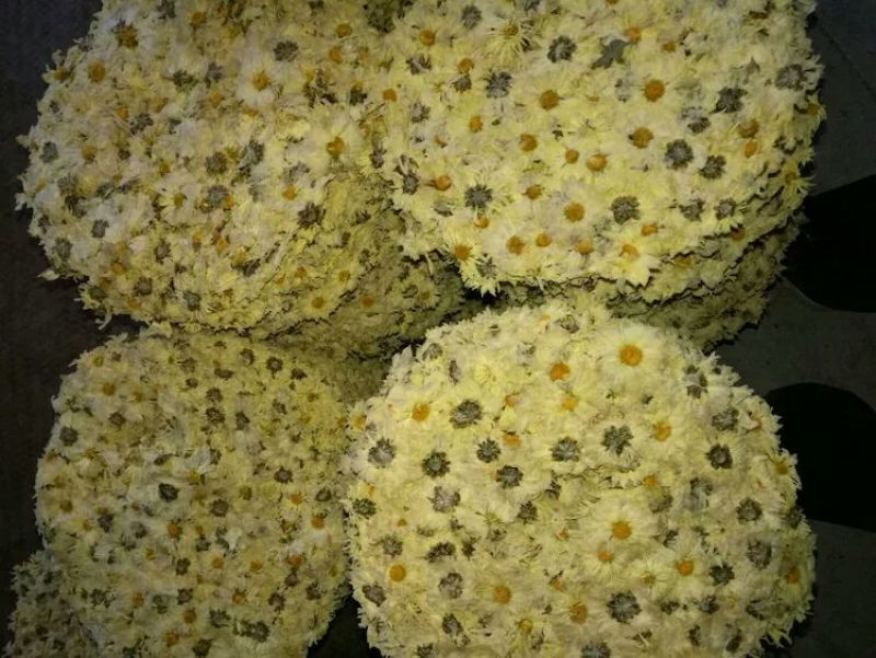 干燥机械空气能热泵烘干机菊花专用热泵烘干机