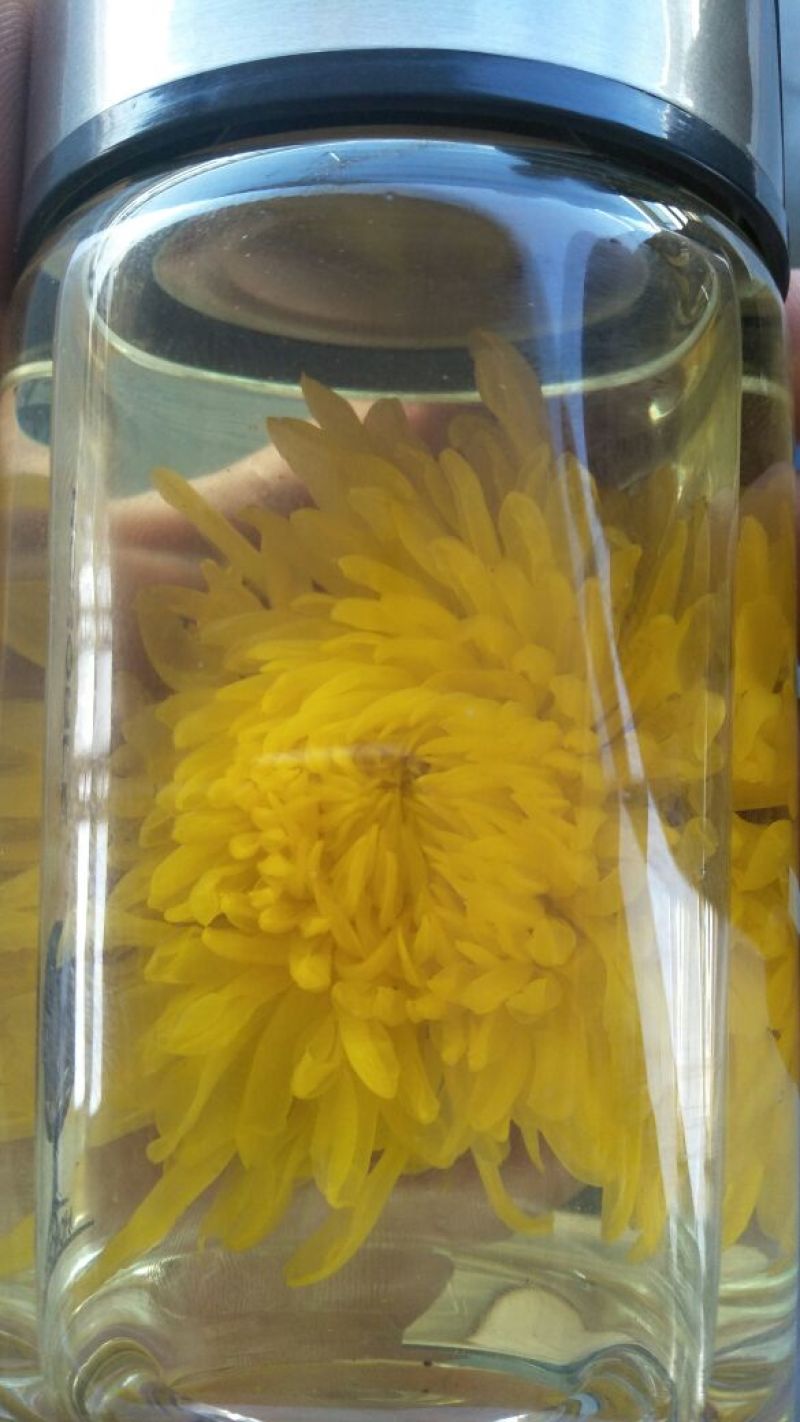 干燥机械空气能热泵烘干机菊花专用热泵烘干机