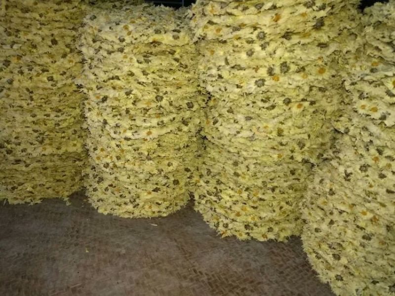 干燥机械空气能热泵烘干机菊花专用热泵烘干机