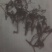 干香椿20cm以下