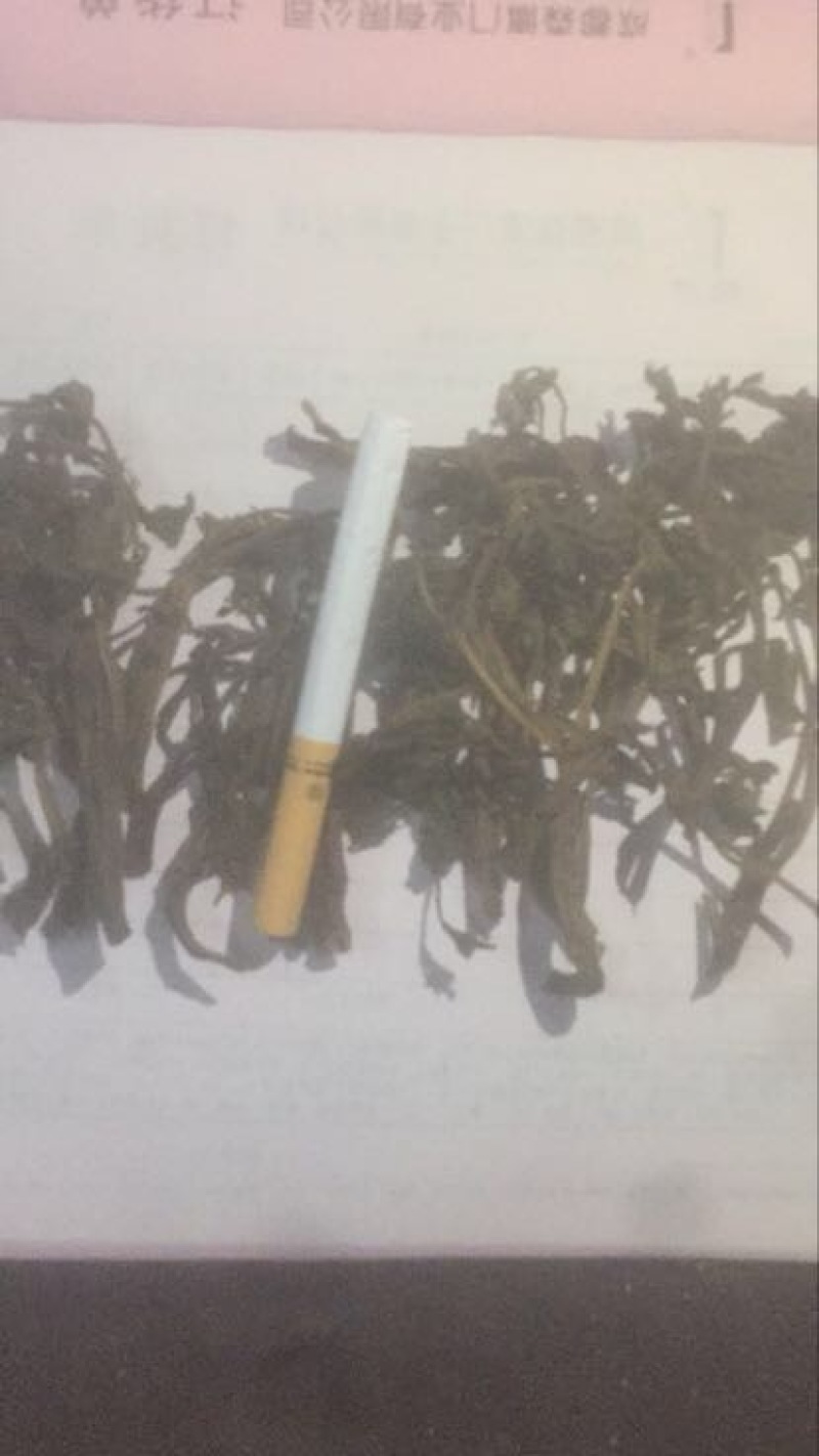 干香椿20cm以下