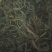 干香椿20cm以下