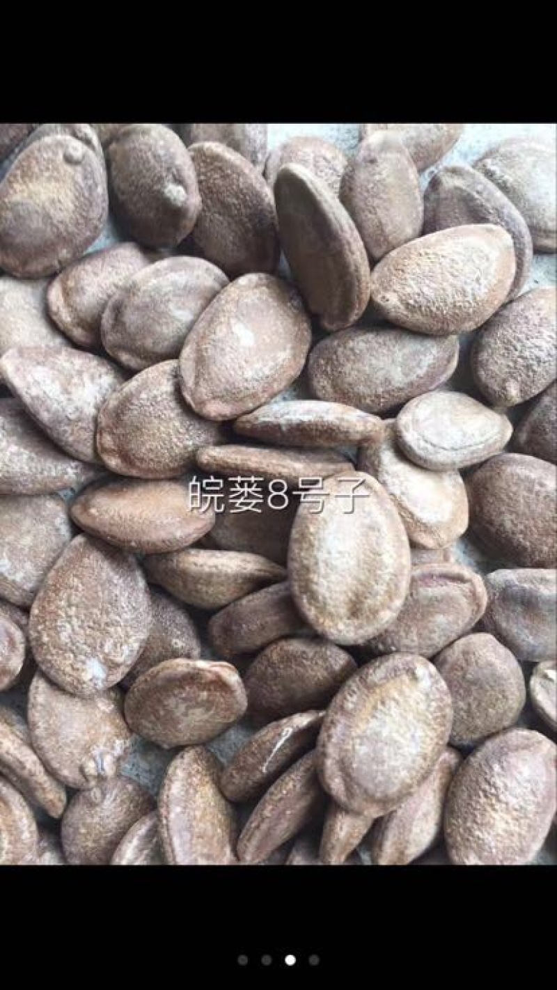 瓜蒌籽